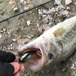 ほぼ無風でも巻物