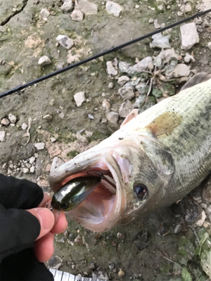 ほぼ無風でも巻物
