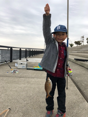 シラサエビ胴付き 海タナゴ