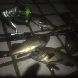 ワークメバリングバランス