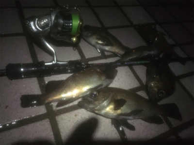 ワークメバリングバランス