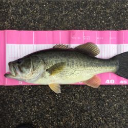 初バスゲット♪( ´▽｀)