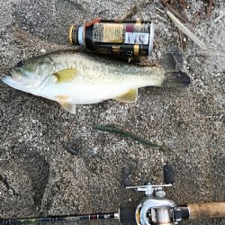 今年初バスゲット❗