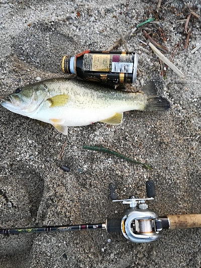 今年初バスゲット❗