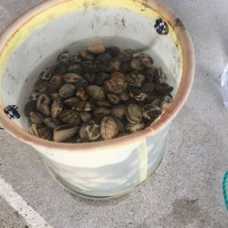 あさりは大量！カレイは不発、、、