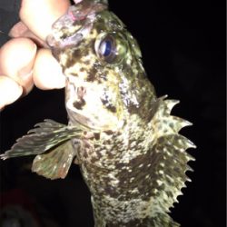 夕マヅメ３０分勝負！