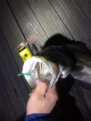 バチパターンメバリング！