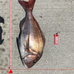 スロージギング