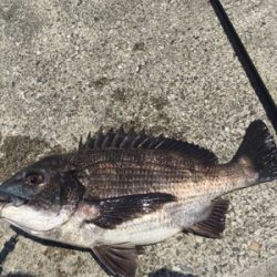 今日は暑いですね〜