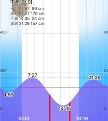 今年初シーバス