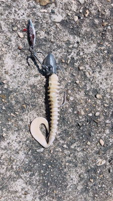 全く引かない魚！？