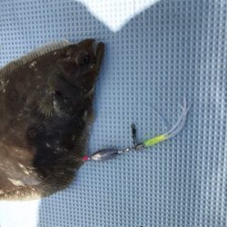 本命には届かなかったけど