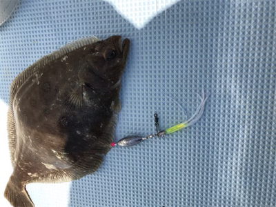 本命には届かなかったけど