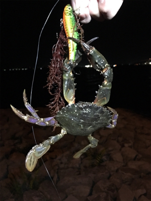 まさかの釣果（笑）