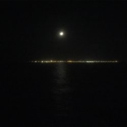 メバルシーズン到来