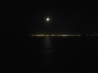 メバルシーズン到来