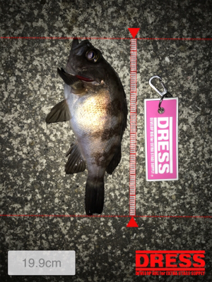 激シブの翌日はまぁまぁ