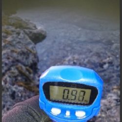 エギング釣行その16