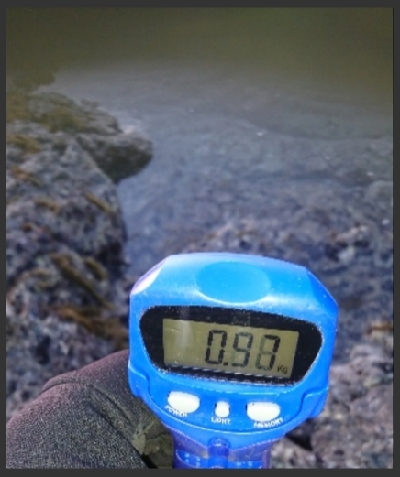 エギング釣行その16