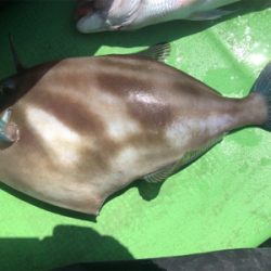 第14回九十九里魚協春の沖釣り大会