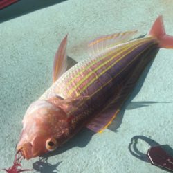 レンタルボート タイラバ