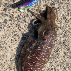 たーのしー(●￣ω￣●)ﾉ