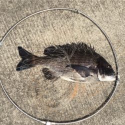 ランガンしたけど、、。