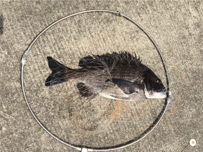 ランガンしたけど、、。