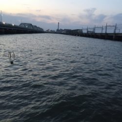 久しぶりのチニング