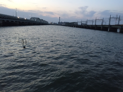 久しぶりのチニング