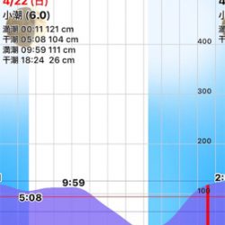 石津川シーバス
