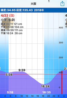 石津川シーバス