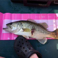 社内対抗バス釣り大会