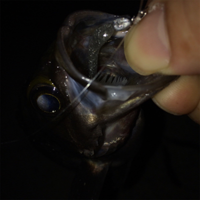 なんとかメバル