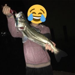 セットアッパーやりますねぇ