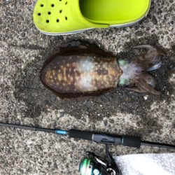 5時ぐらいから1時間