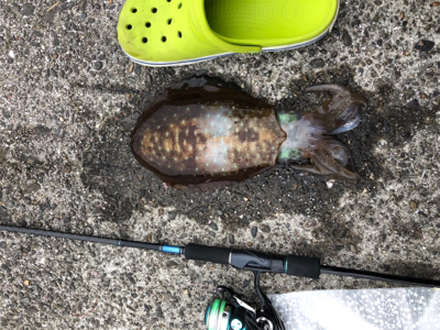 5時ぐらいから1時間