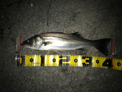 四日市港周辺運河