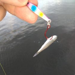 須磨海浜でのルアー探索