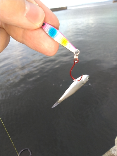 須磨海浜でのルアー探索