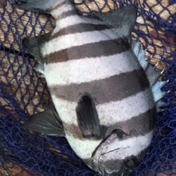 釣堀丸長さんにて