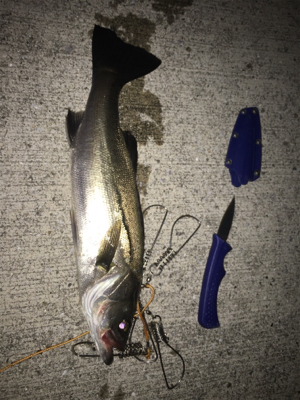 バチは抜けてなかったが、、、