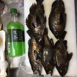 楽々20アップメバリング