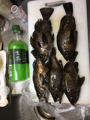 楽々20アップメバリング