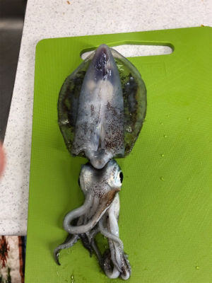 ぼうず？セーフ？