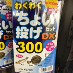 人生初釣りヒット 取り損ねたー