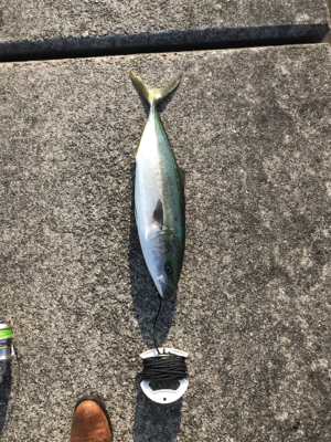 夕方からの釣行