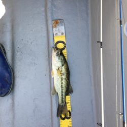 釣りをするにはいい季節になりましたね