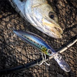 セットアッパーで1本