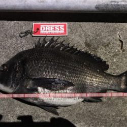 2018年餌釣り初釣り